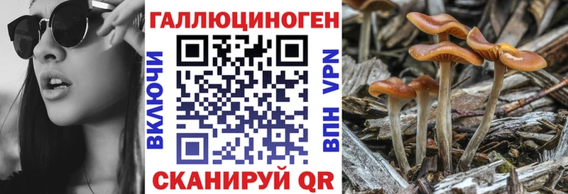 Купить  Среднеуральск  Псилоцибиновые грибы прущие грибы 